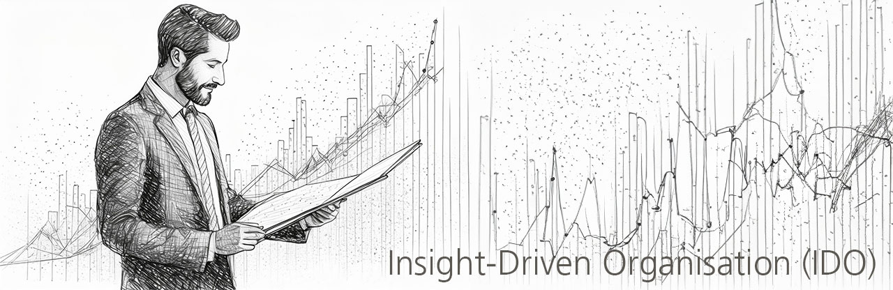 Insight-Driven Organisation (IDO)